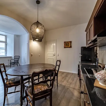 Roofs Of The Old Apartment Reval