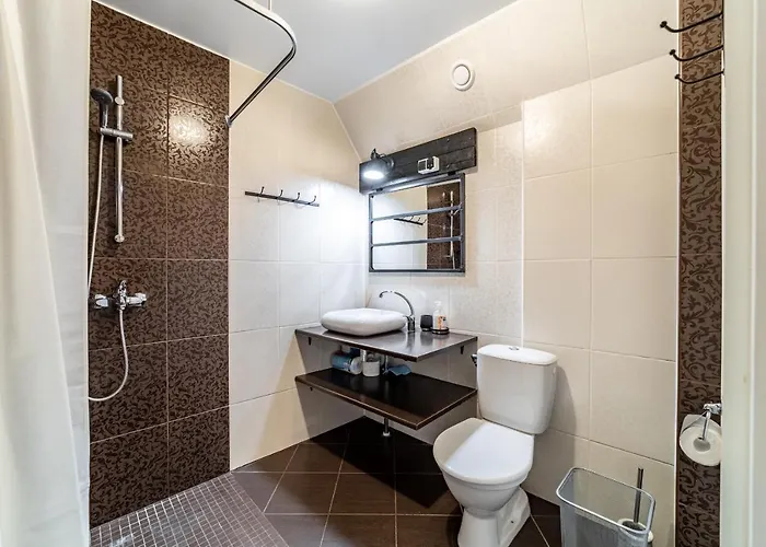 Roofs Of The Old Apartment