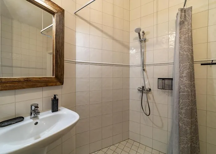 Roofs Of The Old Lägenhet *