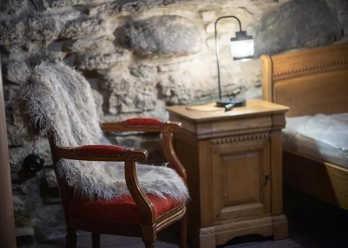 Roofs Of The Old Apartment Reval