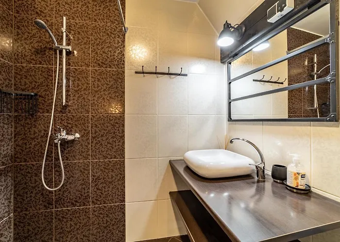 Roofs Of The Old Lägenhet *