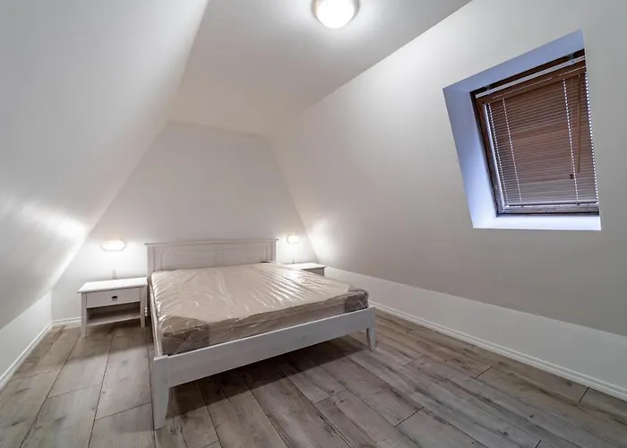 Roofs Of The Old Lägenhet *