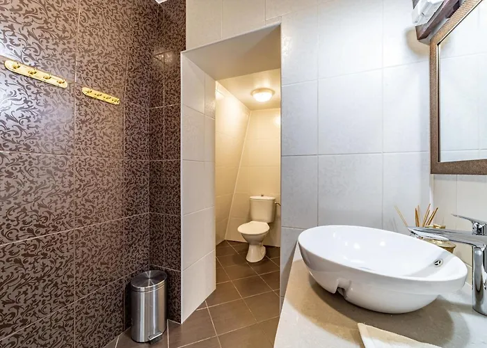 Apartment Roofs Of The Old *