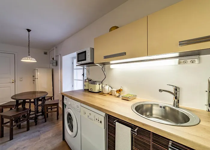 Roofs Of The Old Apartment Reval