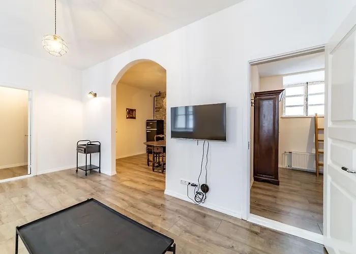 Roofs Of The Old Lägenhet *