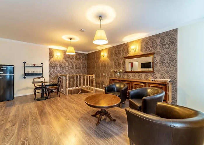 Roofs Of The Old Apartment Reval