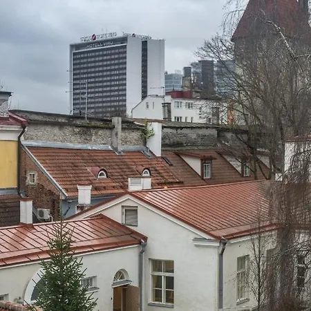 Apartment Roofs Of The Old